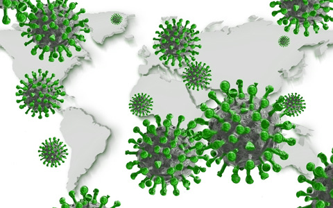 desinfección gipuzkoa