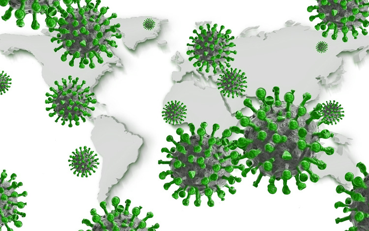 desinfección gipuzkoa