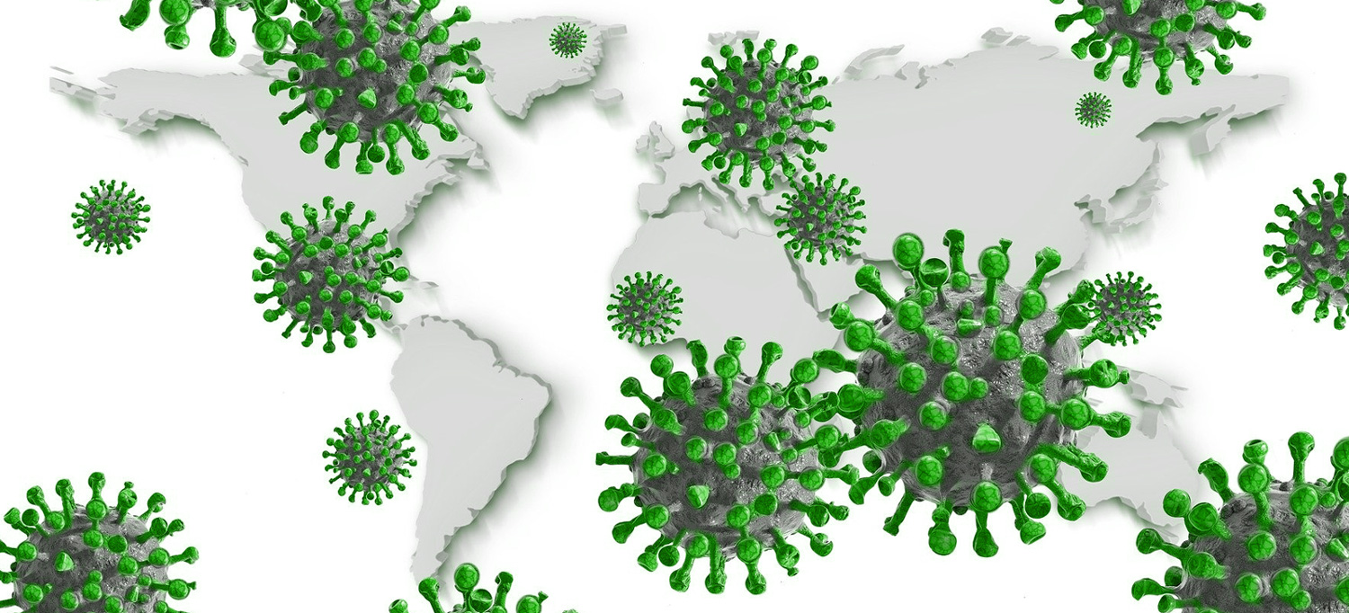 desinfección gipuzkoa